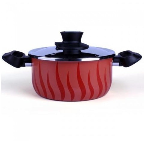 TEFAL DUTCH OVEN 26+LID S/S-NEW TEMPO FLAME