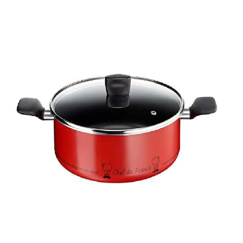 TEFAL ESSENTIAL DUTCH OVEN WITH GLASS LID 22CM
